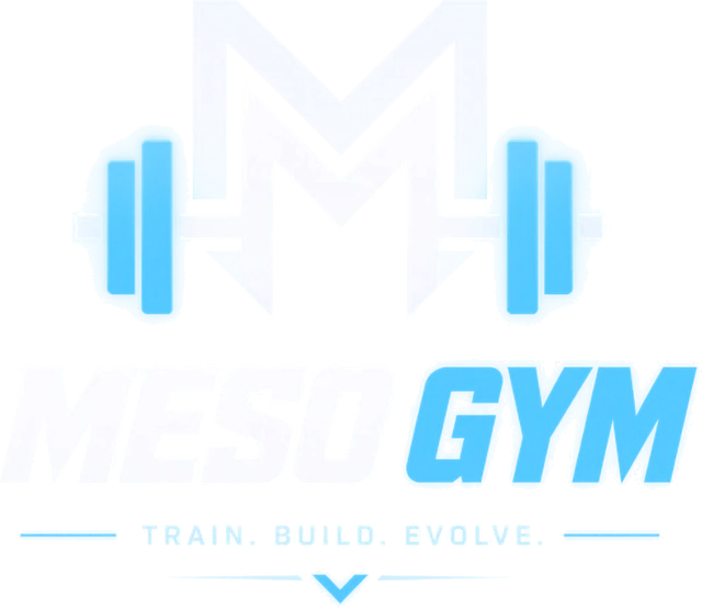 MesoGym logo: Train. Build. Evolve.
